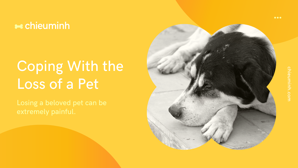 Coping With The Loss Of A Pet