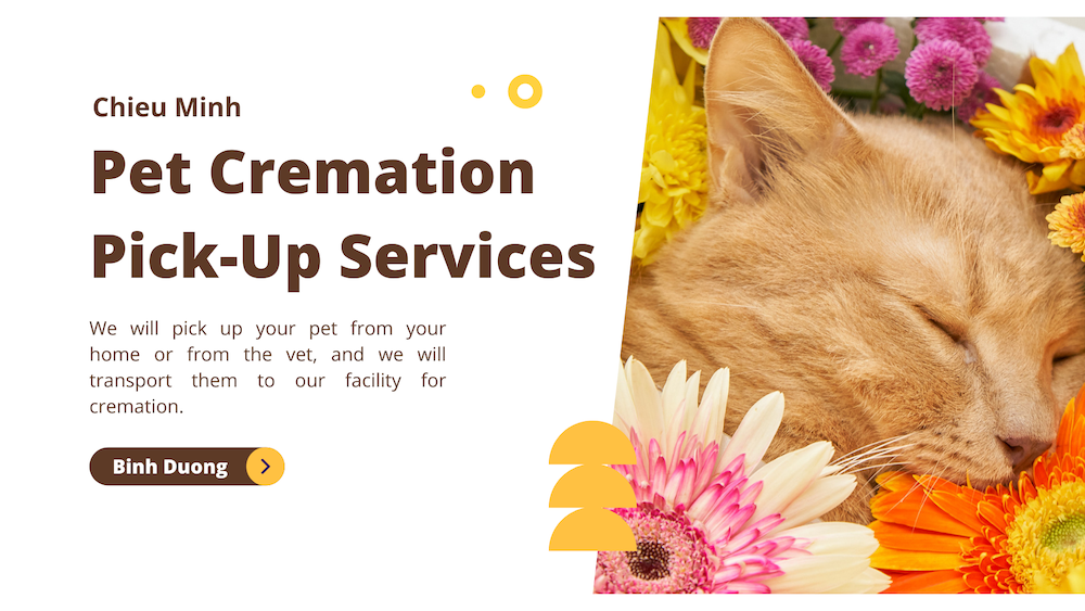 pet cremation pick up services in binh duong