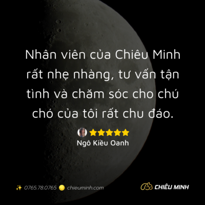 hinh anh cam nhan dich vu 106