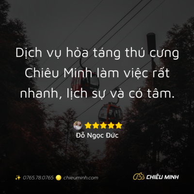 hinh anh cam nhan dich vu 108