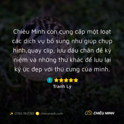 hinh anh cam nhan dich vu 119