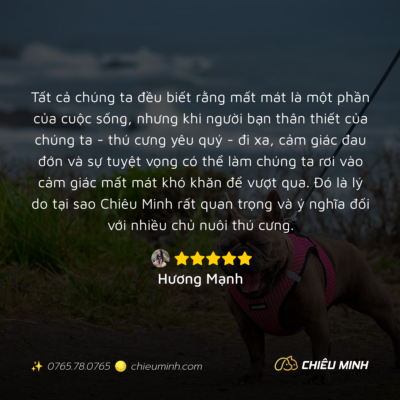 hinh anh cam nhan dich vu 93