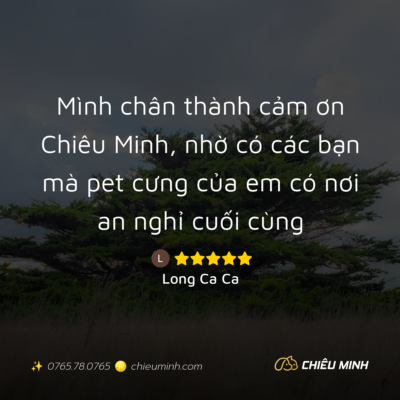 hinh anh cam nhan dich vu 172