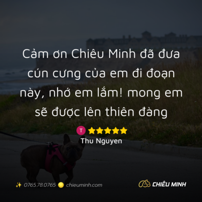 hinh anh cam nhan dich vu 262