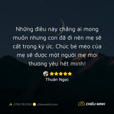 hinh anh cam nhan dich vu 263