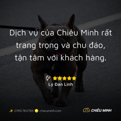 hinh anh cam nhan dich vu 280