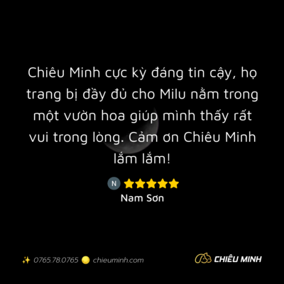 hinh anh cam nhan dich vu 358