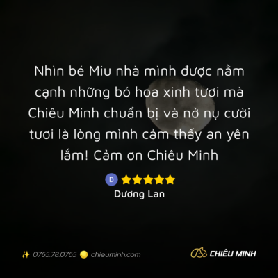 hinh anh cam nhan dich vu 359