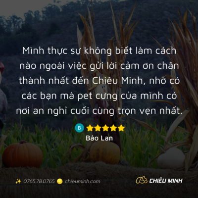 hinh anh cam nhan dich vu 361