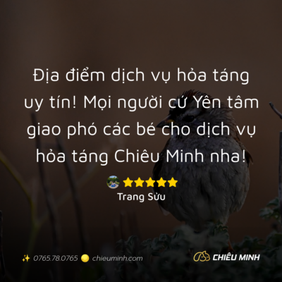 hinh anh cam nhan dich vu 376