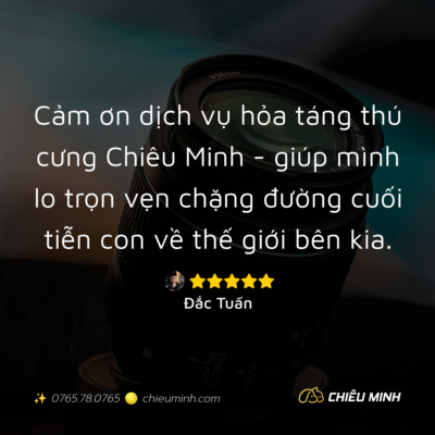 hinh anh cam nhan dich vu 385