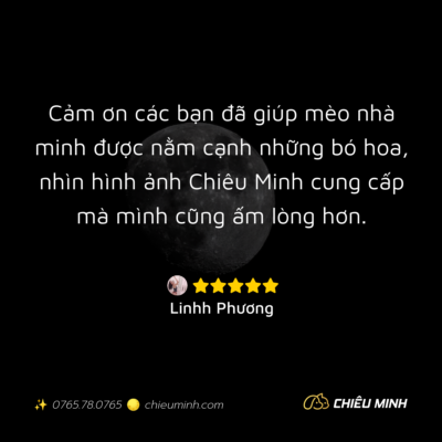 hinh anh cam nhan dich vu 387