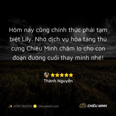 hinh anh cam nhan dich vu 388