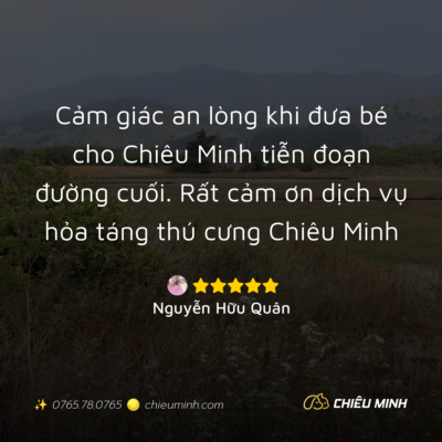 hinh anh cam nhan dich vu 391