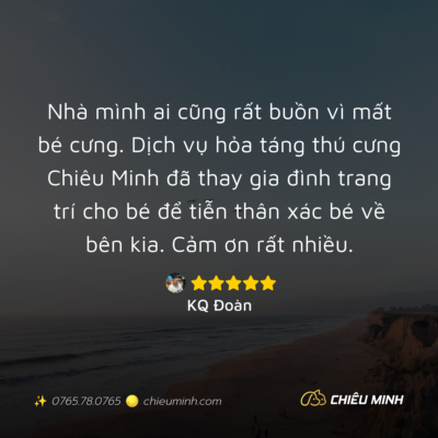 hinh anh cam nhan dich vu 399