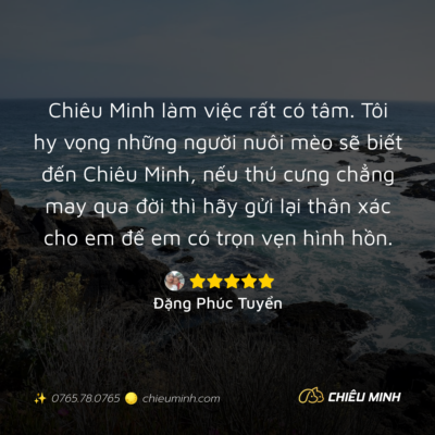 hinh anh cam nhan dich vu 411