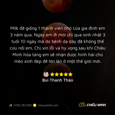 hinh anh cam nhan dich vu 417