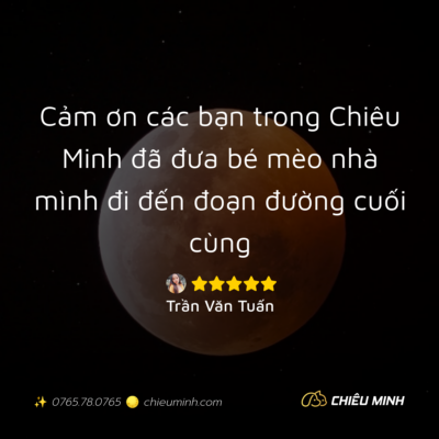 hinh anh cam nhan dich vu 421