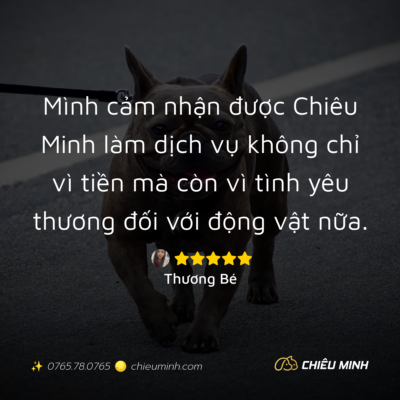 hinh anh cam nhan dich vu 422