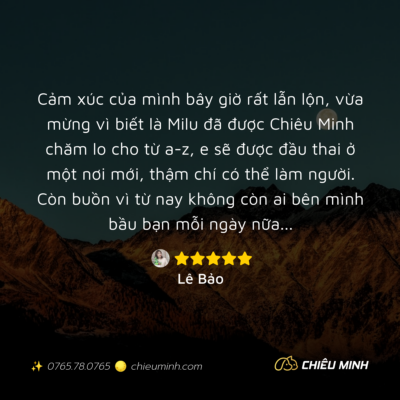 hinh anh cam nhan dich vu 428