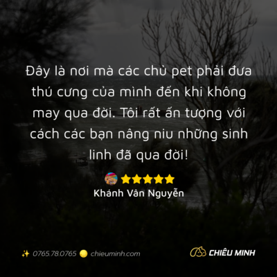 hinh anh cam nhan dich vu 538