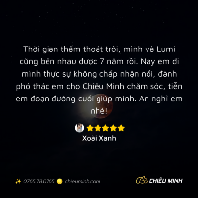 hinh anh cam nhan dich vu 559