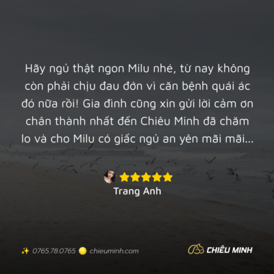 hinh anh cam nhan dich vu 570