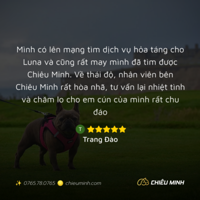 hinh anh cam nhan dich vu 590