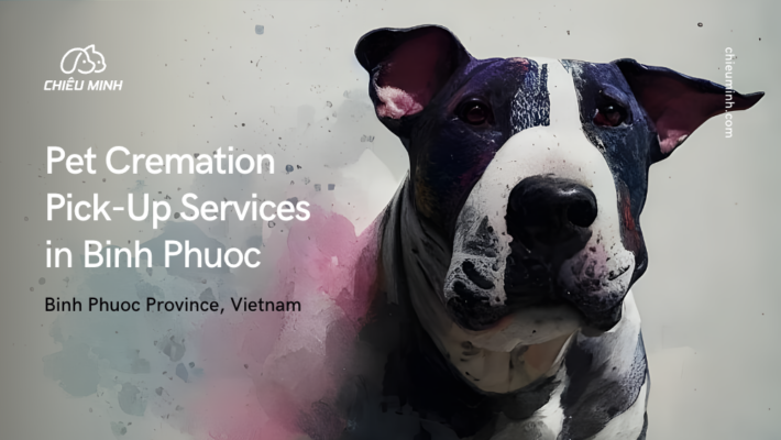 pet cremation services in binh phuoc
