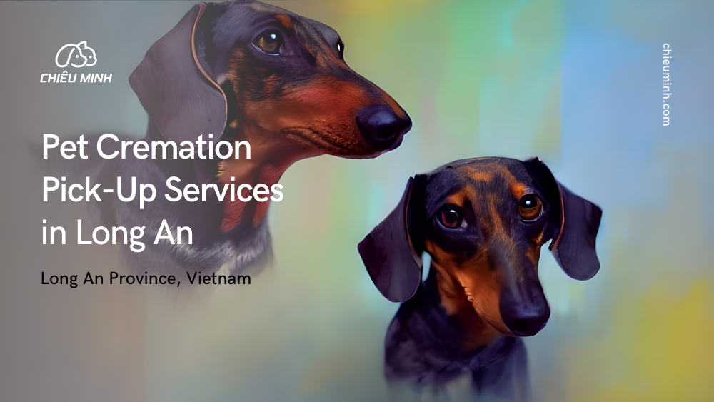 pet cremation services in long an