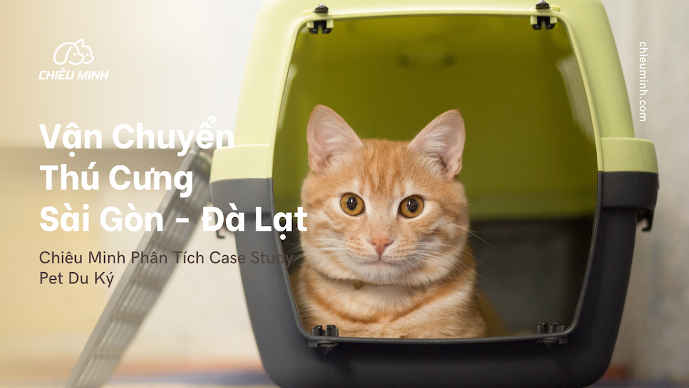 chieu minh danh gia dich vu van chuyen thu cung cua pet du ky